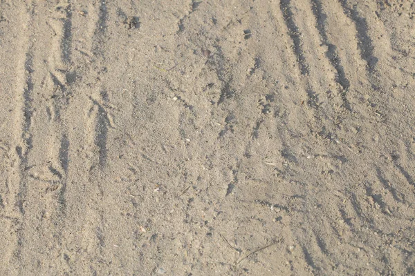 Sand like a background, close up — Stock Photo, Image