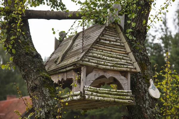 Птичий домик висит на дереве — стоковое фото