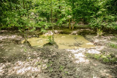 Harika bir çamur ve kirli su havuzu