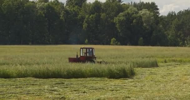 Contadino Falcia Erba Erba Alta Nel Prato — Video Stock