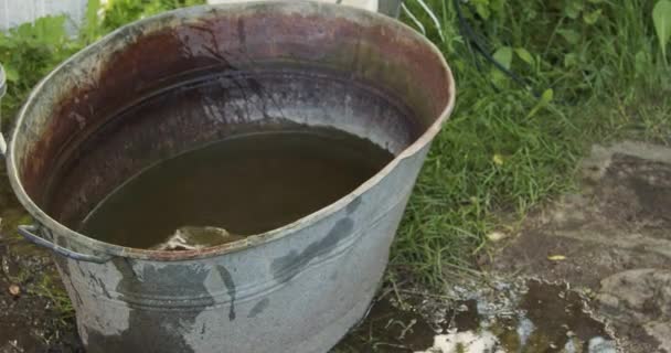 Boer Zet Een Gieter Met Melk Het Koude Water — Stockvideo