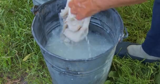 Female Hands Wash White Strainer Used Cleanse Milk — Stock Video
