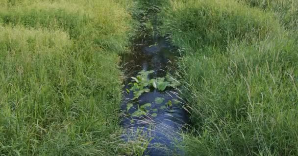 Вода Течет Руслу Реки — стоковое видео