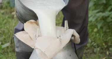 Çiftçi taze sağılmış sütü bir kovadan su kutusuna boşaltıyor.
