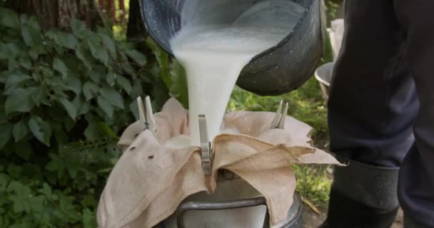 Agricultor Está Filtrando Leche Cubo Una Regadera Metal — Vídeo de stock