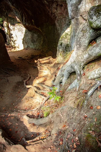 Huel Lee Una Grotta Artificiale Pietra Sabbia Lussemburghese Foresta Dintorni — Foto Stock