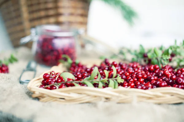 autumn berries on table, lingonberry raw