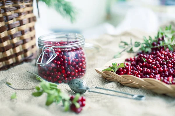 autumn berries on table, lingonberry raw