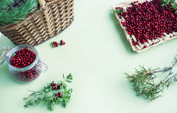 autumn berries on table, lingonberry raw