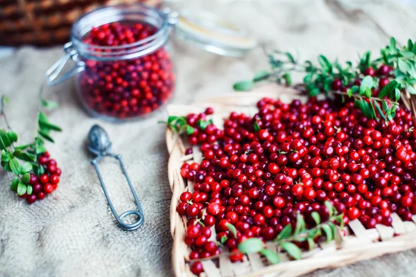 autumn berries on table, lingonberry raw closeup