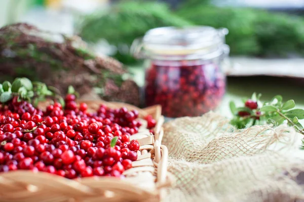 autumn berries on table, lingonberry raw closeup