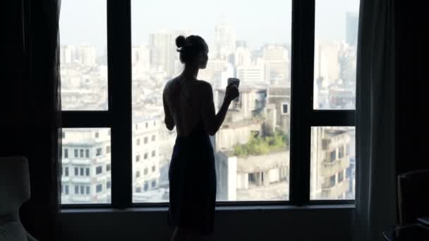 Silhouette Einer Frau Mit Getränk Bewundern Blick Aus Dem Fenster — Stockvideo