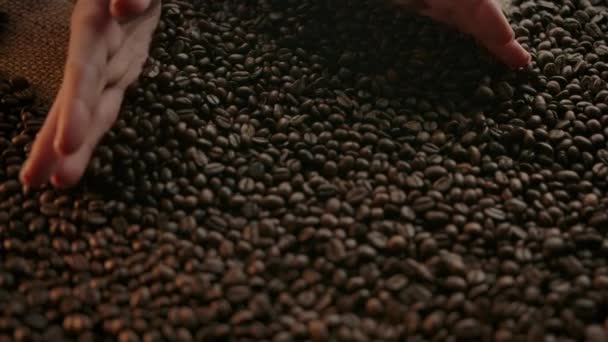 Mãos humanas puro escavar um punhado de grãos de café torrados arábica para se espalhar — Vídeo de Stock