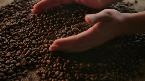 Las manos humanas toman un puñado de granos de café tostados arabica oscuro — Vídeos de Stock