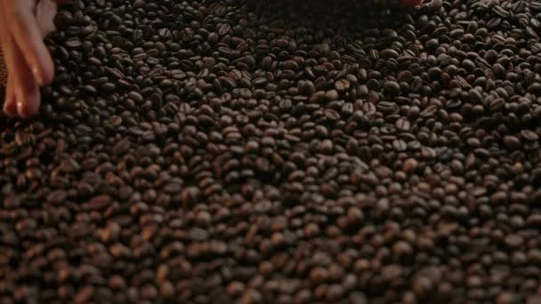 Ukázka pražených kávových zrn. Ženské ruce raking fazole ve zpomaleném filmu — Stock video