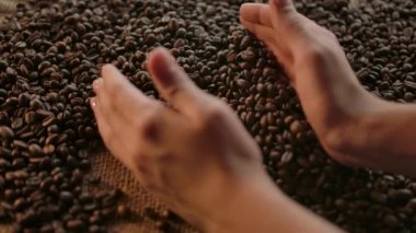 Taze kavrulmuş kahve çekirdeğinin zevki. İnsan eli, kara taneler, çuval bezi.