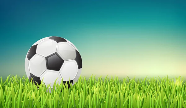Football Classique Sur Herbe Illustration Vectorielle — Image vectorielle