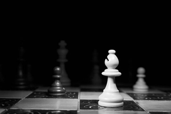 шахматы, сфотографированные на шахматной доске