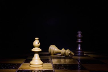 Satranç tahtasında fotoğraflanmış.