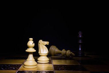 Satranç tahtasında fotoğraflanmış.