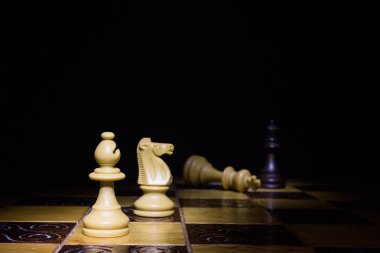 Satranç tahtasında fotoğraflanmış.