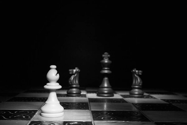 шахматы, сфотографированные на шахматной доске