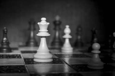 Satranç tahtasında fotoğraflanmış.