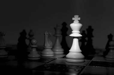 Satranç tahtasında fotoğraflanmış.