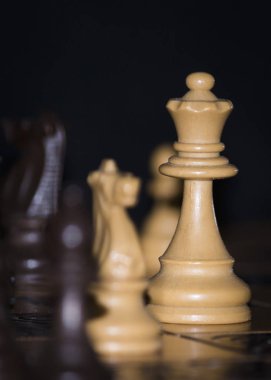 Satranç tahtasında fotoğraflanmış.