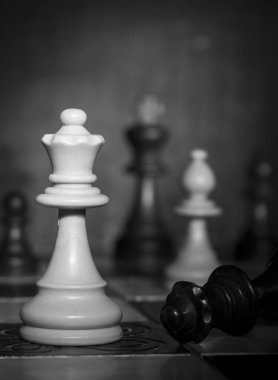 Satranç tahtasında fotoğraflanmış.