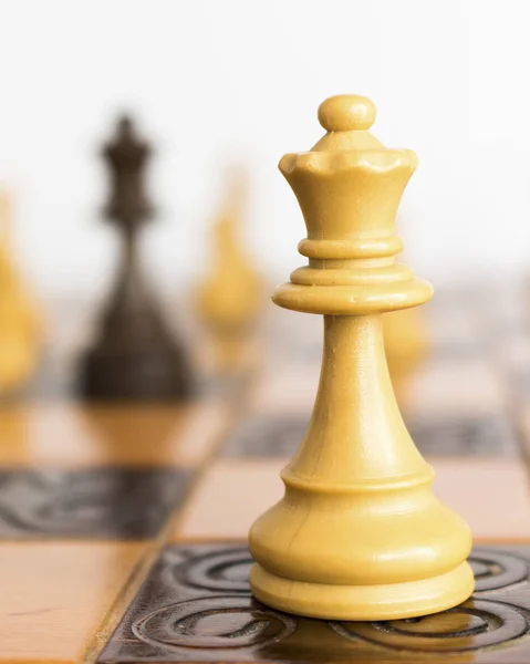 stock image Chess photographed on a chessboard