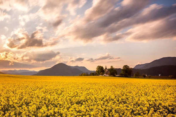 Fantastisk Solnedgång Gula Fält Liptov Regionen Slovakien — Stockfoto