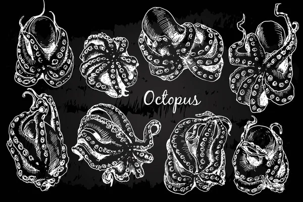 Octopus in sketch style — Stock Vector