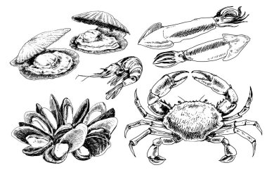 Deniz ürünleri el yapımı koleksiyonu