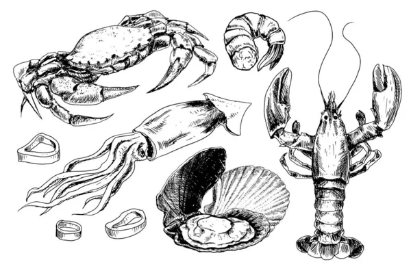 Handgezeichnete Sammlung von Meeresfrüchten — Stockvektor