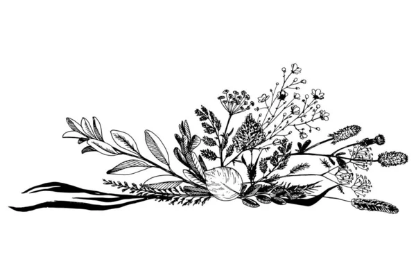 Dzikie zioła i kwiaty malowane na czarno. — Wektor stockowy