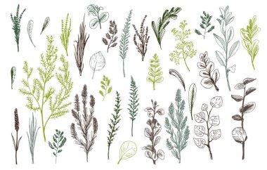 Yaban otları ve çiçekler kabartma stilinde boyanmıştır..