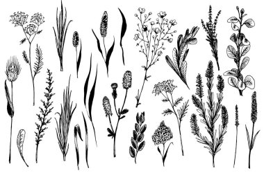 Yaban otları ve çiçekler kabartma stilinde boyanmıştır..