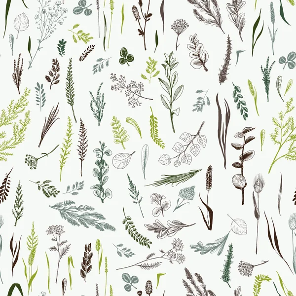 Дикие травы и цветы, расписанные в стиле гравировки . — стоковый вектор