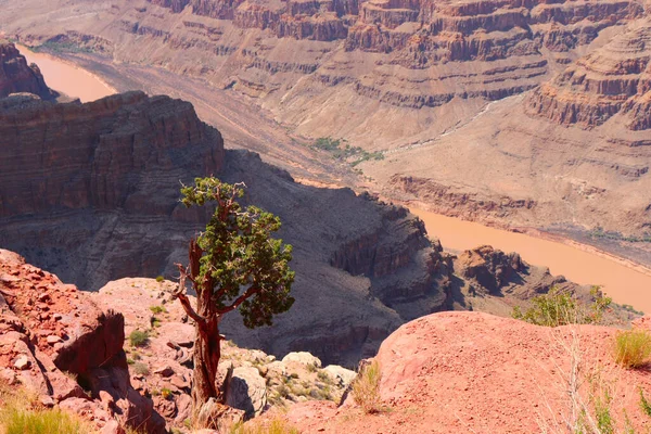 Vista sobre a parte sul e norte da borda em Grand Canyon EUA — Fotografia de Stock