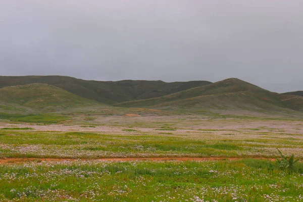 Mongólia estepe paisagem de prados infinitos sob bela nuvem em azul astuto — Fotografia de Stock