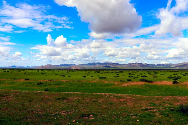 Mongolia steppe landscape of infinite grasslands under beautiful cloud in blue sly — Stock Photo, Image