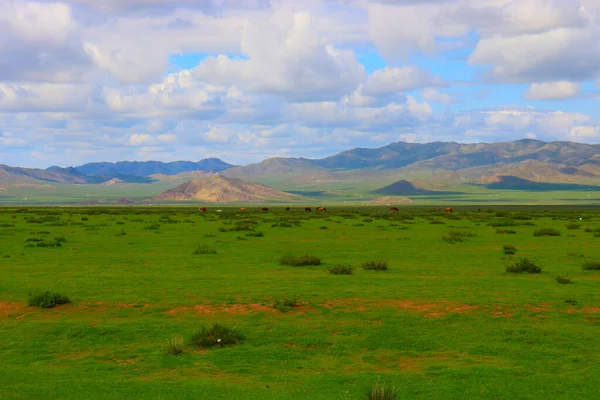 Mongólia estepe paisagem de prados infinitos sob bela nuvem em azul astuto — Fotografia de Stock