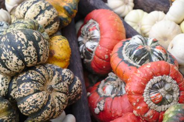 Saman üzerinde kabak ve kabak çeşitleri var. Renkli sebzeler üst görünüm