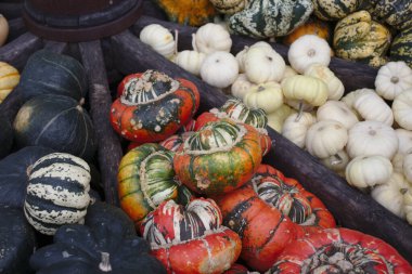Saman üzerinde kabak ve kabak çeşitleri var. Renkli sebzeler üst görünüm