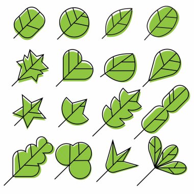 Yeşil yaprakların simgesi