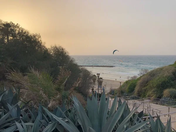 Закат Тель Авиве Моря Кайтсерфер — стоковое фото