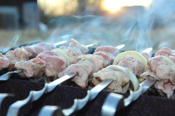 pieces of meat are fried with smoke on skewers. Country recreation in nature