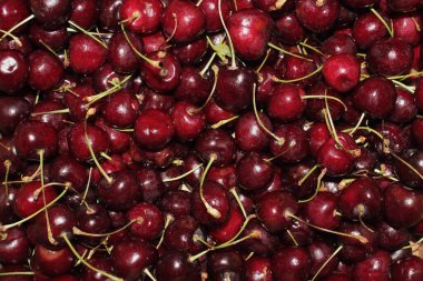 Olgun kirazlar. arkaplan ya da duvar kağıdı için fotoğraf