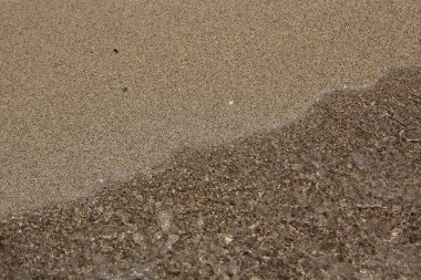 Yumuşak deniz sörfü kumlu sahilde koşar. Plaj fotoğrafı.